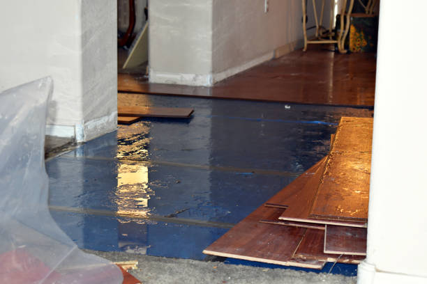 Professional Basement Water Removal technician working in Rock River, WY